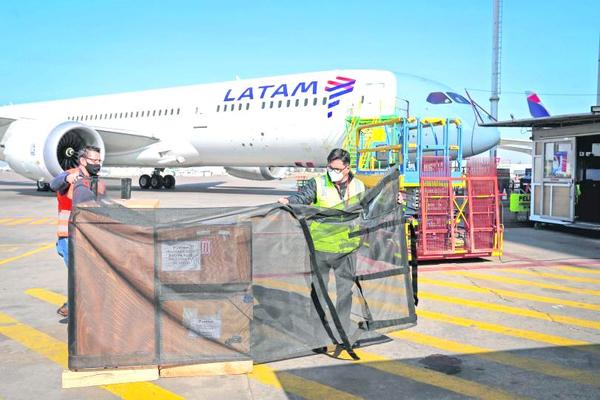 LATAM Cargo recibe reconocimiento por iniciativas de reducción y  sustitución de plástico en Chile y Brasil - Latam Green