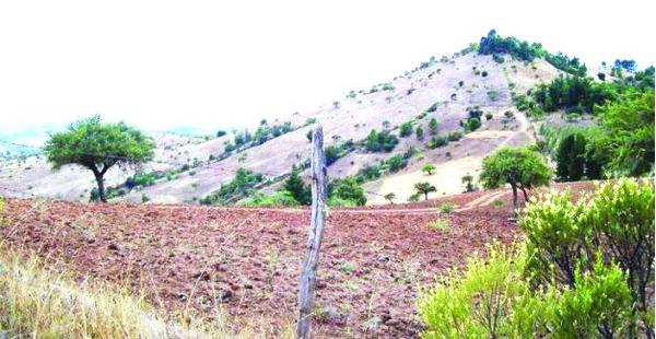 Sernatur Biobío