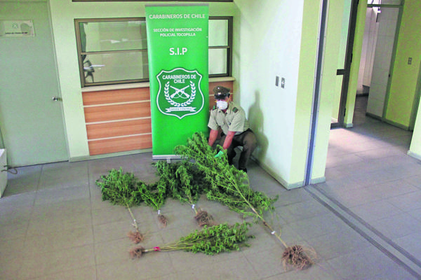 carabineros
