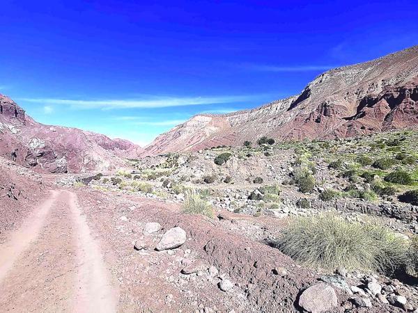 Corfo Antofagasta