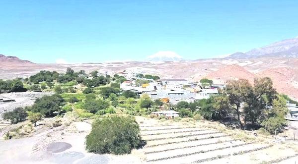 Cedida