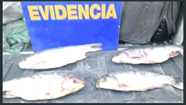 SEnda