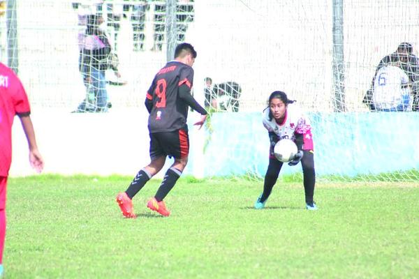 gentileza antofagastina.cl
