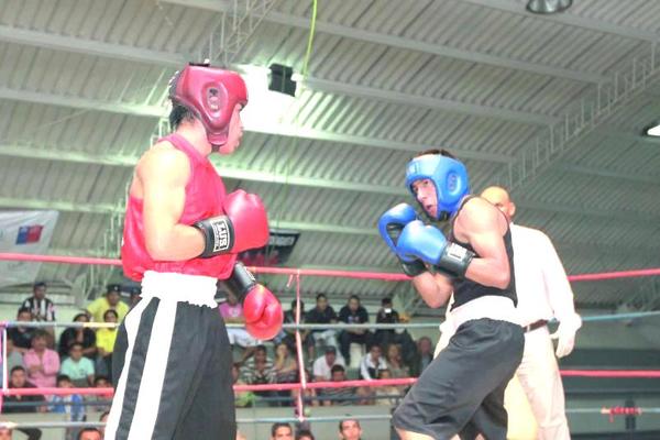 puma boxing antofagasta