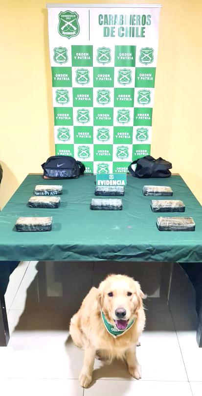 Carabineros
