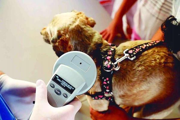 *información obtenida en : registro nacional de tendencia responsable de mascotas y animales de compañia