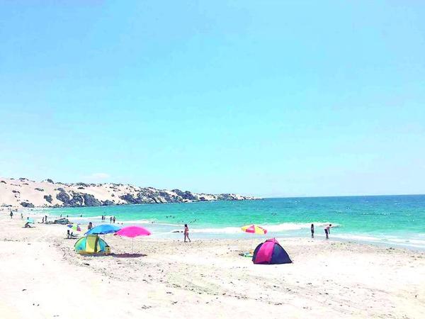 facebook mejillones en terreno