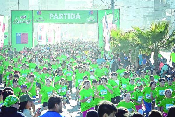 milo corridas
