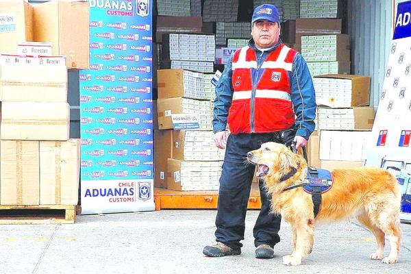 ARCHIVO