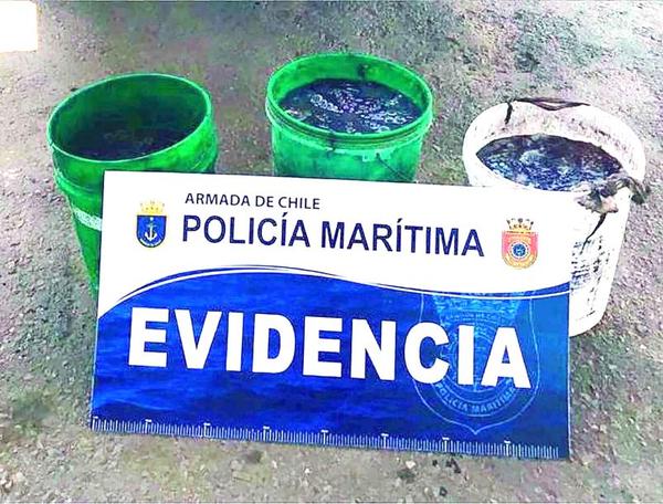 @dgtm_chile
