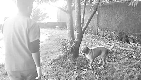 fotos: cedidas