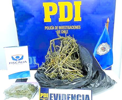 cedida