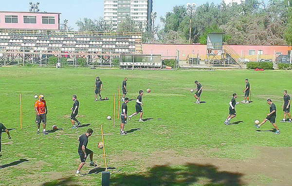 loa sport