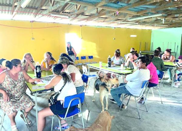 Fundación Procultura