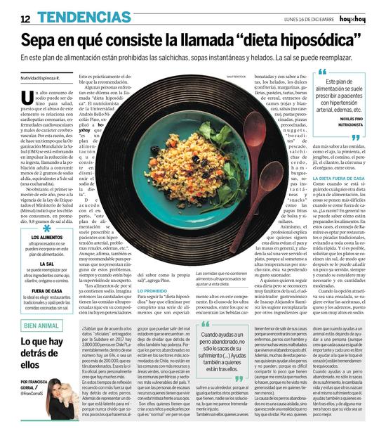 Página 12  - HoyxHoy, el diario que no tiene precio - Santiago,  Chile 