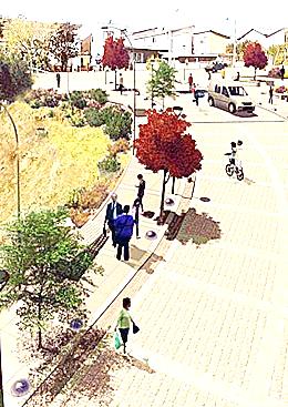 lsa