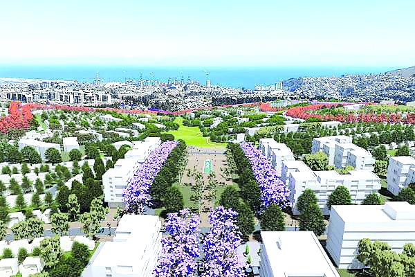 Proyecto Miramar San Antonio