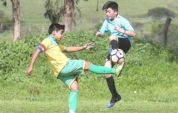 Sócrates Orellana