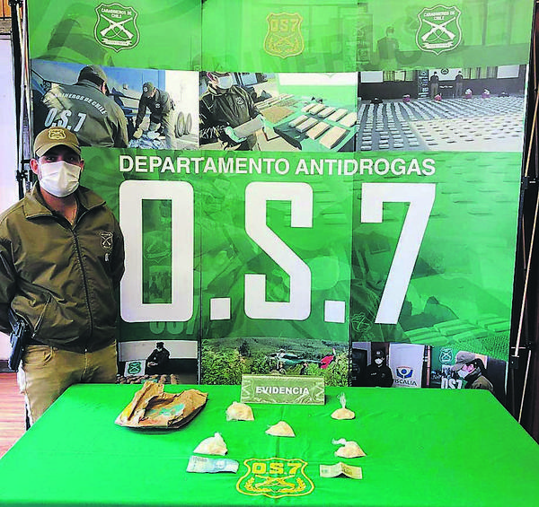 lsa