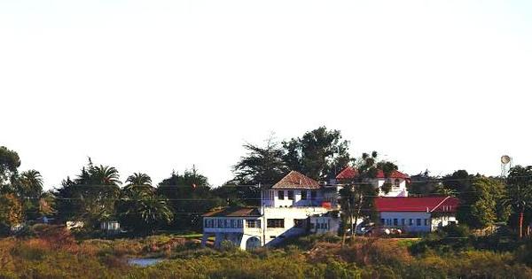 lsa