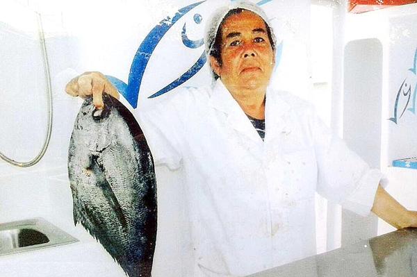 cedida