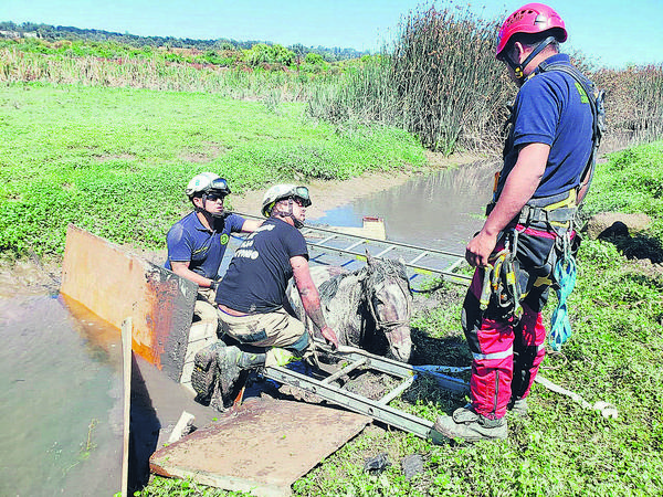 bomberos san antonio