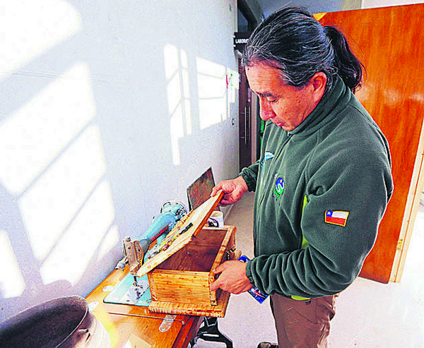 sócrates orellana