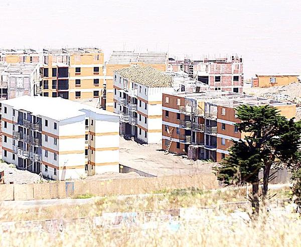 lsa